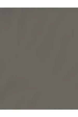 Creëer Een Stijlvolle Sfeer met Dutch Wallcoverings Vliesbehang Uni Bruin 56512 Speciale Aanbieding